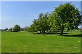 Teigh, Yew Tree Farm in Teigh