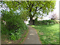 Path out of Corringham recreation ground in SS17 8JS