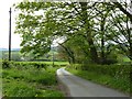 Country road at North Nibley in GL11 6DL