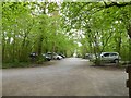 Car park for RSPB Swell Wood nature reserve in TA3 6PZ