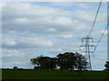 Pylon in a field at Hilland Farm in RH14 9HN