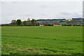 Grassy field near Corbridge in NE45 5PD