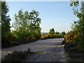 Sandy track across heathland, Thursley Common (2) in GU8 6QA