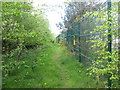 Bridleway beside the Kingspan works at Sherburn in YO17 8WB