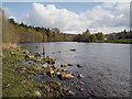 River Beauly downstream of Black Bridge in IV4 7BH
