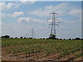 Pylons at Hookgate in PO14 4NX