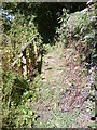 Footbridge & balsam. in Leake