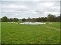 Rushmore Park, dewpond in SP5 5QA