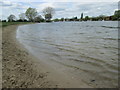 Sandy shore, River Thames in SL8 5PS
