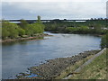 River Tay south of Friarton (or Moncreiffe) Island in PH2 8DP