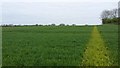Footpath through the fields in Stretton Baskerville