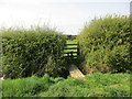 Plank bridge and stile in Biddlesden