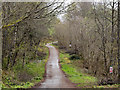 Forest road at Torlundy in PH33 6SW