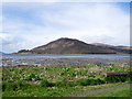 Low wall and vegetation at shore of Loch Linnhe in PH33 7DT