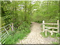 Footpath enters Standgrove Wood from the east in RH17 6EX