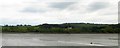 Estuary of River Teign and Newton Abbot sewage works in TQ14 9PT