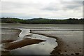 Stream in the mud of the estuary of the Teign in TQ12 4RT