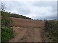 Ploughed field on east slope of Bulverton Hill in EX10 8HS