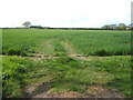 Crop field near Block Farm in CO16 0DG