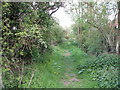 Footpath off Tendring Road, Thorpe Green in CO16 0LE