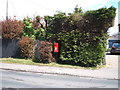 Elizabeth II postbox on Harwich Road, Beaumont in Beaumont