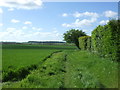 Footpath beside Little Welnetham Hall in Little Whelnetham