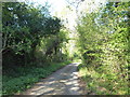 Bridleway leading from Tower Hill to Farthings Lane in RH12 1XR