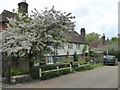 Cottages overlooking the village green at Wisborough Green in RH14 0BT