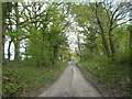 Looking from Cocking Park towards the junction with the A286  in GU29 0HQ