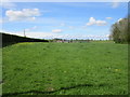Field off Shepherdfield Lane in YO60 7JH