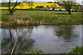 Across the River Wylye to South Newton in SP2 0RA
