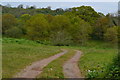Track in field near Roundlands Farm in BS14 0BX