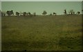 Grassy slope, Chaddenwick Hill in BA12 6AL