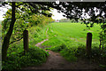 Path from Moor Hall Farm to Boundary Plantation, Aughton in L39 9EE