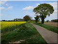Weavers' Way along Field Lane in North Walsham East Ward