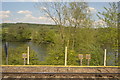 River Thames through trees in RG30 6YD