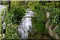Stream beside the road at Upwey in DT3 5QG