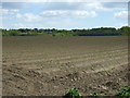 Furrowed field, Dedham in CO7 6BE