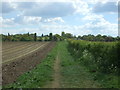 Farm track (footpath), Dedham in CO7 6BE