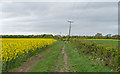Bridleway: Parish boundary between Beccles and Weston in NR34 9XP