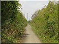 Path on former waggonway in NE29 8SD