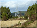 Power Lines at the Edge of the Abernethy Forest in PH25 3DF