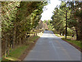 B970, Abernethy Forest in PH25 3DF