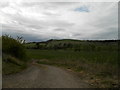 Farm track skirting field near Dairsie in KY15 4SR