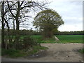 Footpath, Crockleford Hill in CO7 7SE