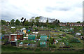 Allotments, Maidenhall in IP2 8LL
