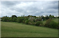 Grazing and woodland, Fox Street in CO7 7SB