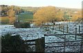 Frost and trees by Wescoe Hill Lane in Weeton