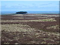 Moorland northwest of Sinderhope Carrs in NE47 9SG