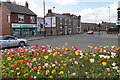 Tulip display in Howdon in NE28 6HA